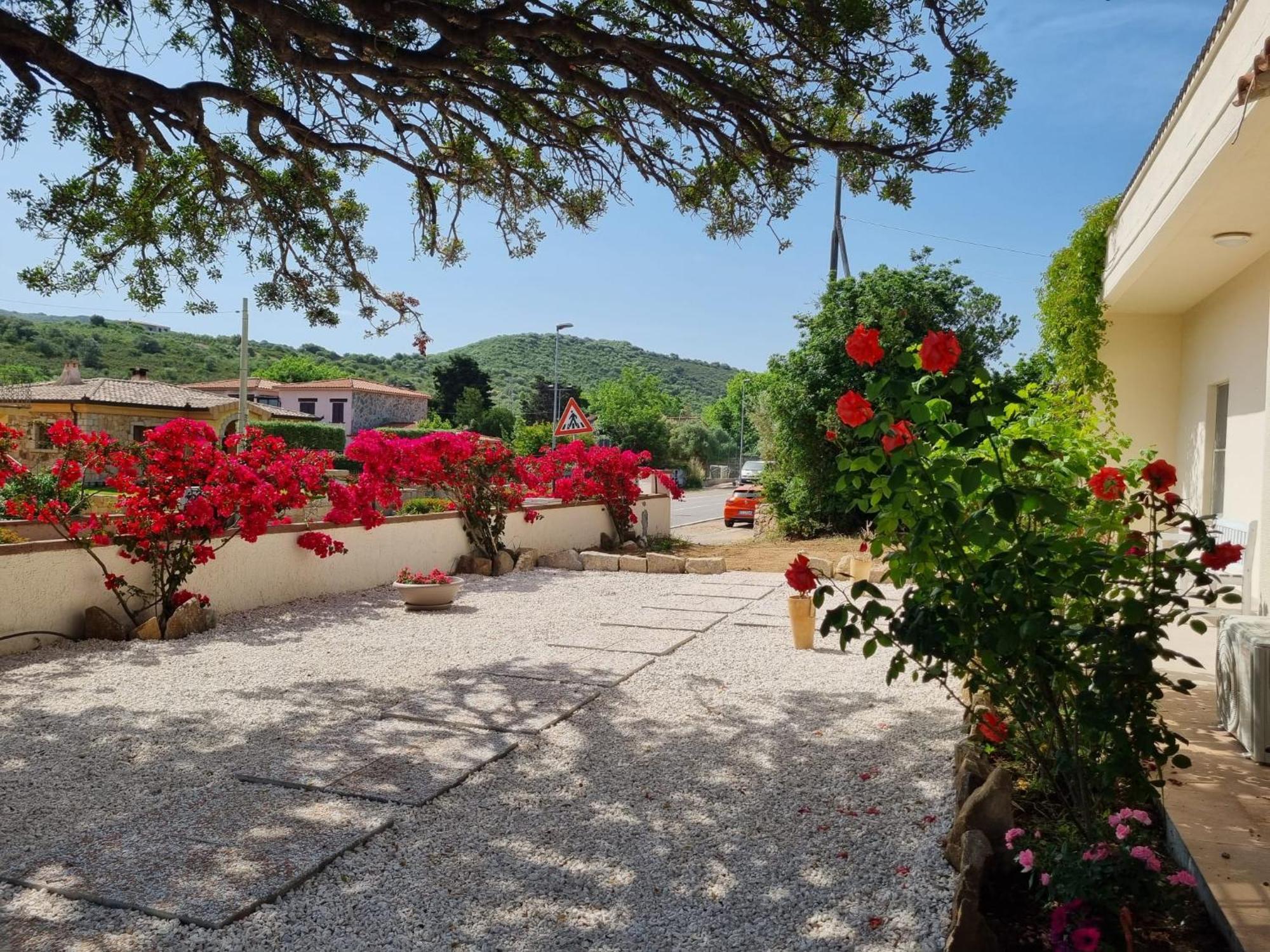 Stazzo San Teodoro Piscina Condivisa Appartement Buitenkant foto